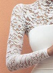 Women's Fashion Mock Neck Long Sleeve Lace Bodycon Dress