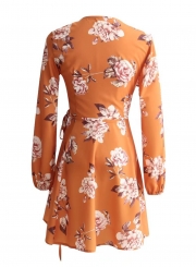 Women's V Neck Print Long Sleeve A-line Dress