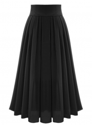 High Waist Maxi Chiffon Pleated Skirt