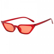 Fashion Transparent Small Frame Cat Eye Outdoor Sunglasses