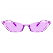 Fashion Transparent Small Frame Cat Eye Outdoor Sunglasses