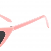 Fashion Transparent Small Frame Cat Eye Outdoor Sunglasses