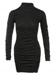 Black Casual High Neck Long Sleeve Solid Color Bodycon Dress